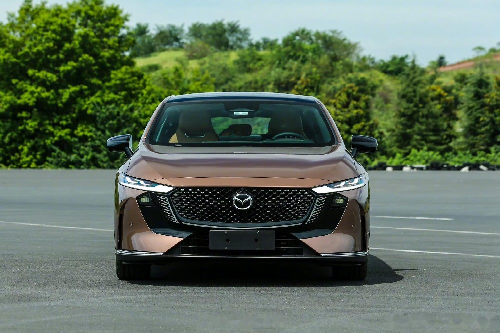 中国汽车基础软件生态标委会：推进制定汽车基础软件规范